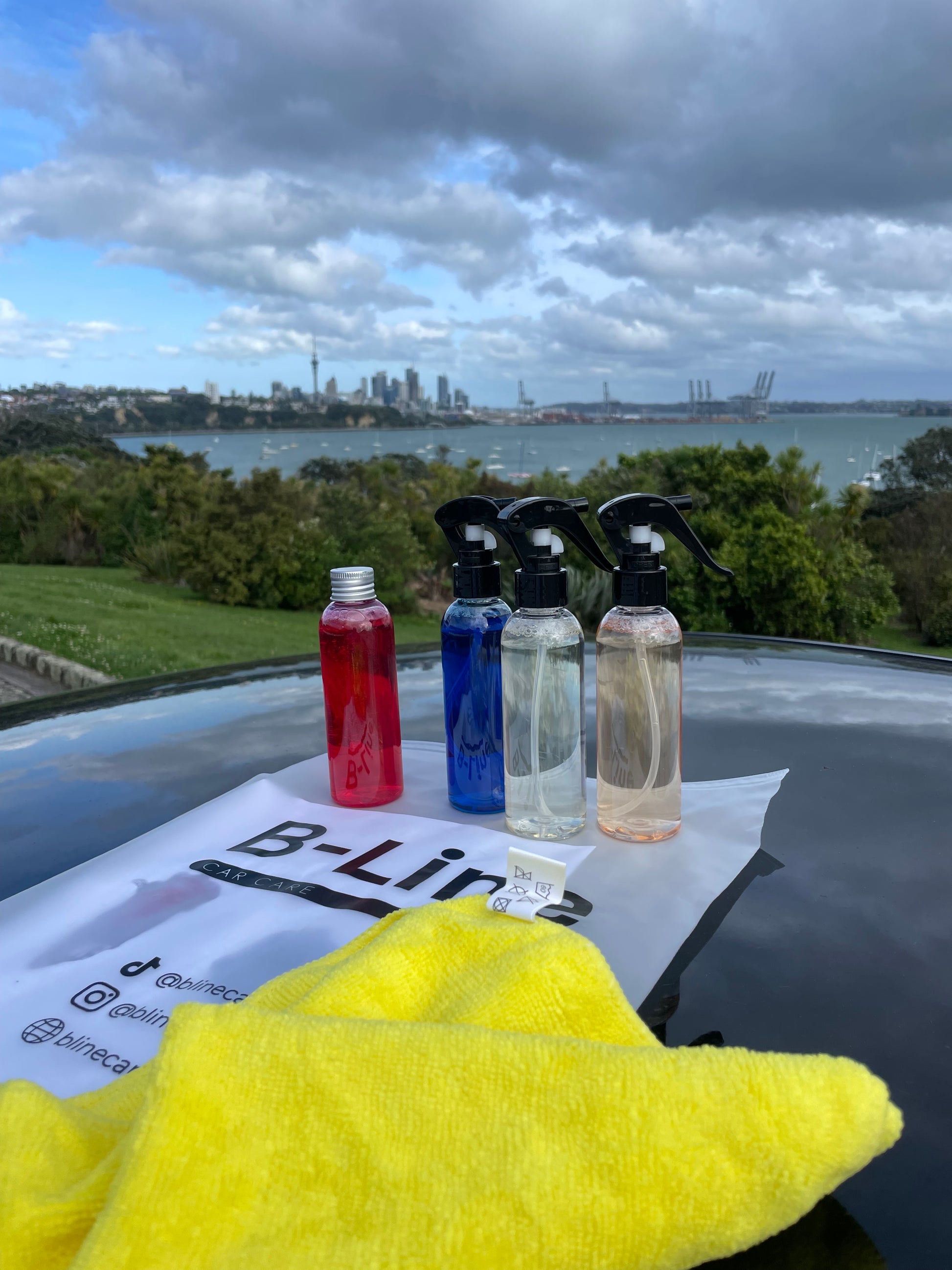 B-Line Car Care Kit - B-Line Car Care