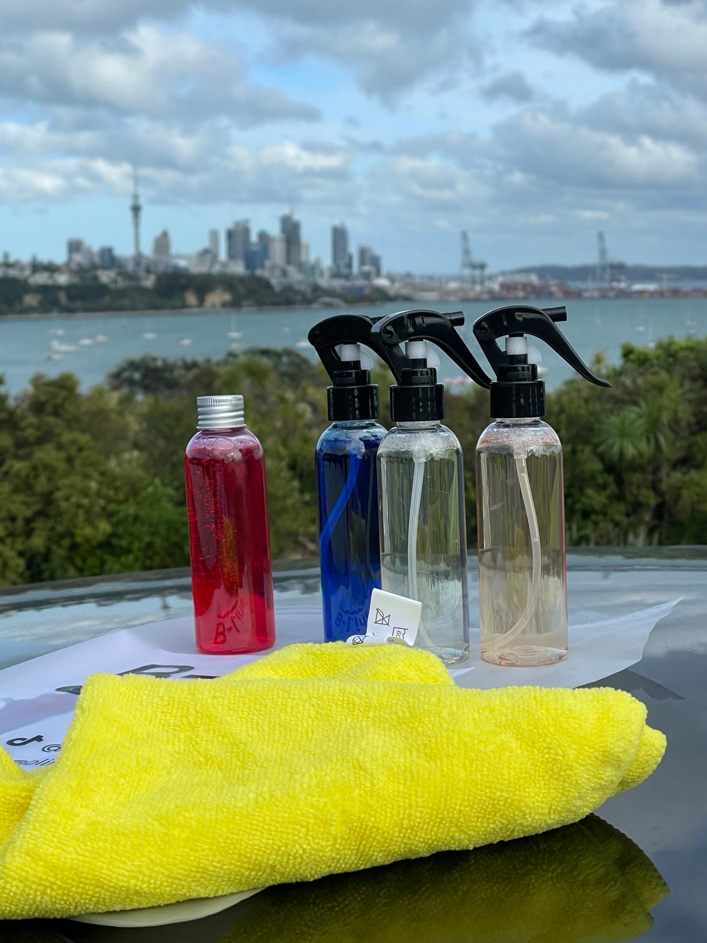 B-Line Car Care Kit - B-Line Car Care