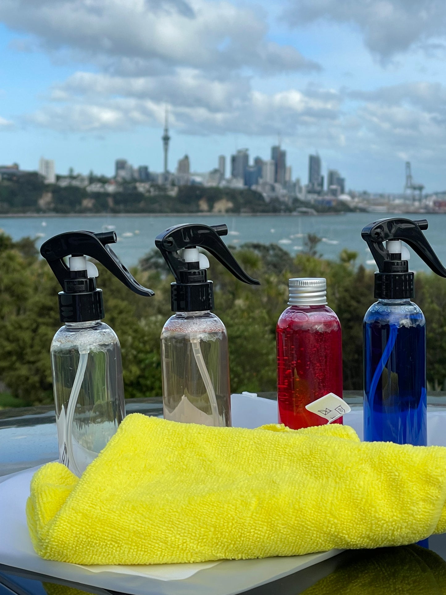 B-Line Car Care Kit - B-Line Car Care